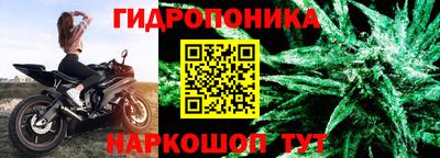 наркотики Будённовск