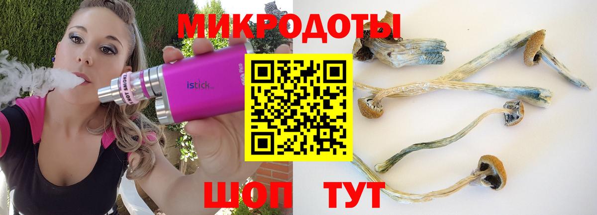 Псков  Галлюциногенные грибы Psilocybine cubensis  Псилоцибиновые грибы Psilocybine cubensis  купить  сайты  Вход с VPN 